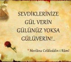 mevlana celaleddını rumının anlamli sozlerı ask hasret sevgı dın (4)
